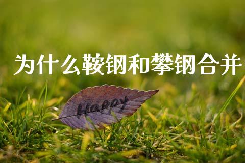 为什么鞍钢和攀钢合并_https://wap.sdyuehang.cn_新股申购_第1张