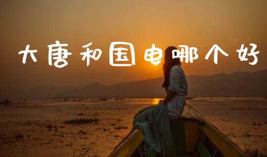 大唐和国电哪个好_https://wap.sdyuehang.cn_新股申购_第1张