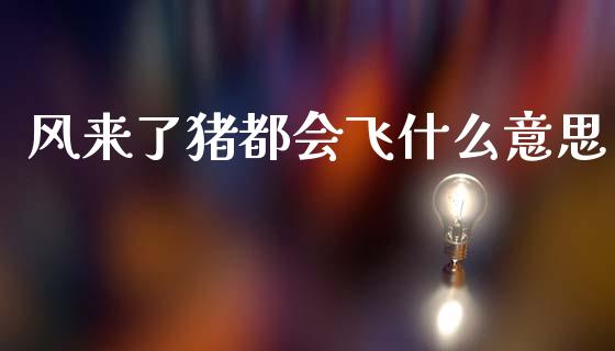 风来了猪都会飞什么意思_https://wap.sdyuehang.cn_产经新闻_第1张