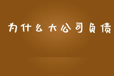 为什么大公司负债_https://wap.sdyuehang.cn_新股申购_第1张