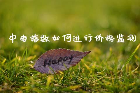 中电指数如何进行价格监测_https://wap.sdyuehang.cn_产经新闻_第1张