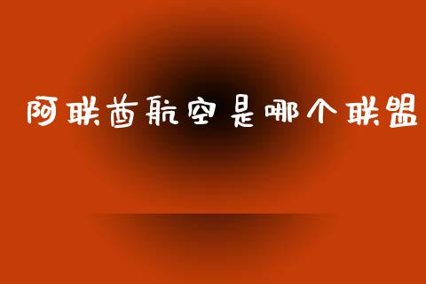阿联酋航空是哪个联盟_https://wap.sdyuehang.cn_债券资讯_第1张
