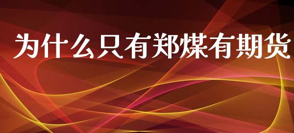 为什么只有郑煤有期货_https://wap.sdyuehang.cn_美股行情_第1张