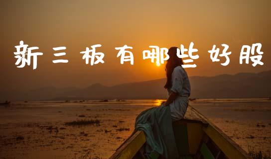 新三板有哪些好股_https://wap.sdyuehang.cn_美股行情_第1张