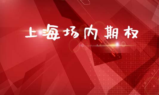 上海场内期权_https://wap.sdyuehang.cn_债券资讯_第1张