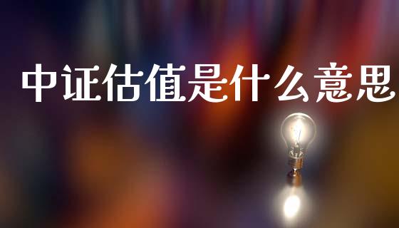 中证估值是什么意思_https://wap.sdyuehang.cn_美股行情_第1张
