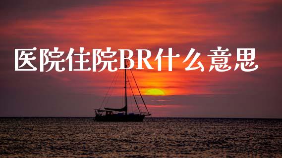 医院住院BR什么意思_https://wap.sdyuehang.cn_产经新闻_第1张