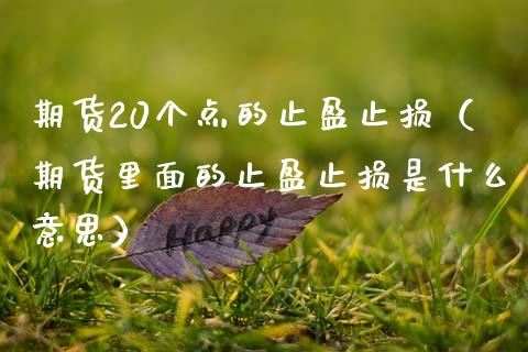 期货20个点的止盈止损（期货里面的止盈止损是什么意思）_https://wap.sdyuehang.cn_新股申购_第1张