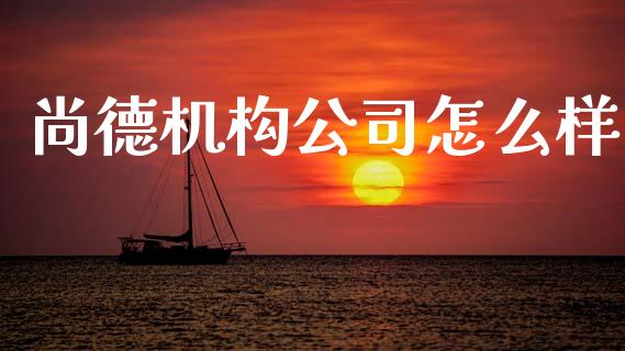 尚德机构公司怎么样_https://wap.sdyuehang.cn_债券资讯_第1张