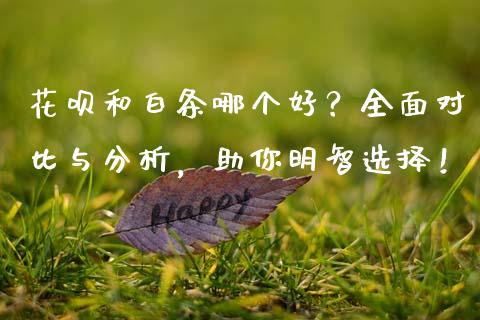 花呗和白条哪个好？全面对比与分析，助你明智选择！_https://wap.sdyuehang.cn_新股申购_第1张