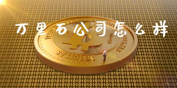 万里石公司怎么样_https://wap.sdyuehang.cn_美股行情_第1张