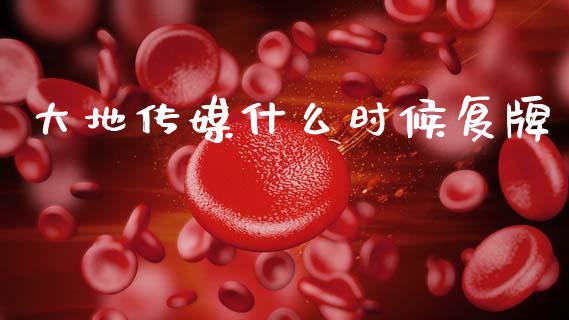 大地传媒什么时候复牌_https://wap.sdyuehang.cn_新股申购_第1张