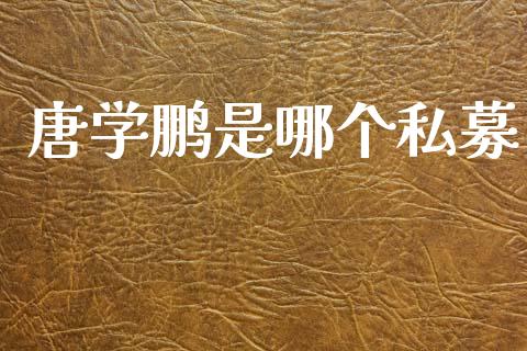 唐学鹏是哪个私募_https://wap.sdyuehang.cn_美股行情_第1张
