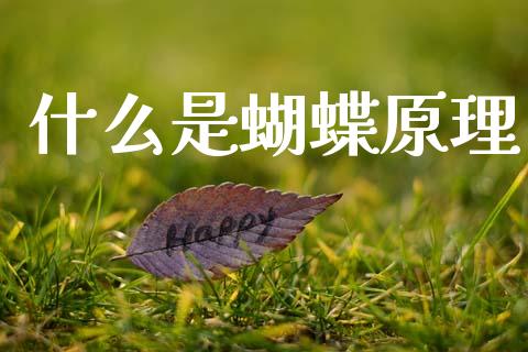 什么是蝴蝶原理_https://wap.sdyuehang.cn_产经新闻_第1张