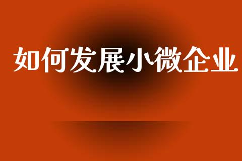 如何发展小微企业_https://wap.sdyuehang.cn_债券资讯_第1张