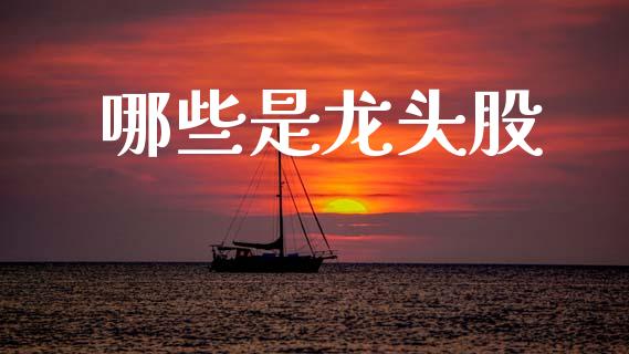 哪些是龙头股_https://wap.sdyuehang.cn_产经新闻_第1张