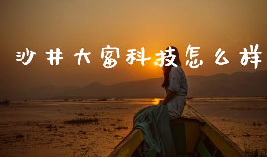 沙井大富科技怎么样_https://wap.sdyuehang.cn_债券资讯_第1张
