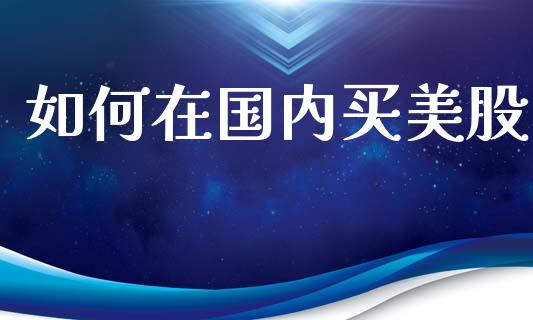 如何在国内买美股_https://wap.sdyuehang.cn_债券资讯_第1张