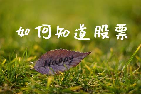 如何知道股票_https://wap.sdyuehang.cn_美股行情_第1张