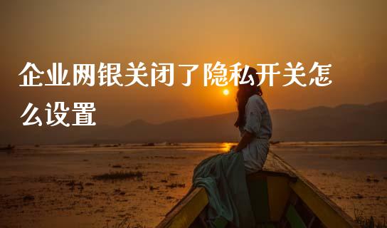 企业网银关闭了隐私开关怎么设置_https://wap.sdyuehang.cn_新股申购_第1张