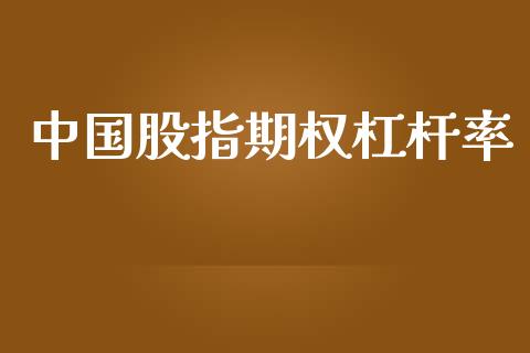 中国股指期权杠杆率_https://wap.sdyuehang.cn_美股行情_第1张