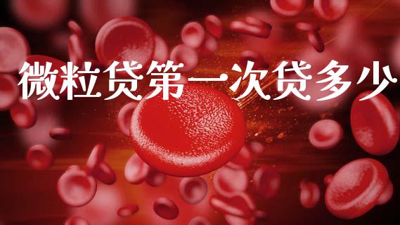 微粒贷第一次贷多少_https://wap.sdyuehang.cn_美股行情_第1张