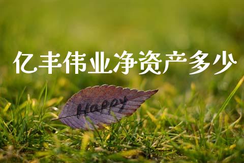亿丰伟业净资产多少_https://wap.sdyuehang.cn_美股行情_第1张