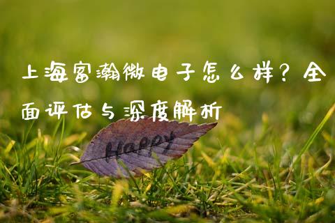 上海富瀚微电子怎么样？全面评估与深度解析_https://wap.sdyuehang.cn_新股申购_第1张