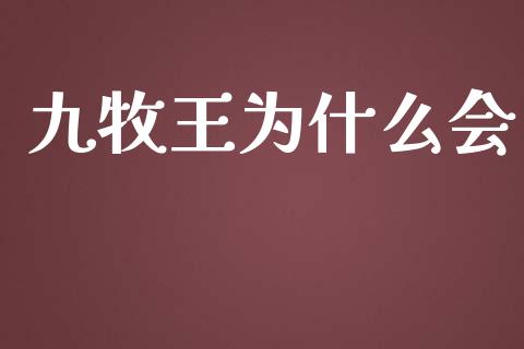 九牧王为什么会_https://wap.sdyuehang.cn_美股行情_第1张
