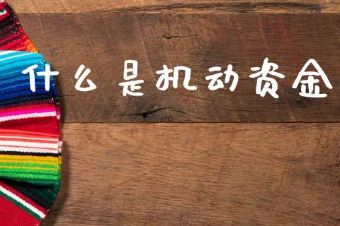 什么是机动资金_https://wap.sdyuehang.cn_美股行情_第1张