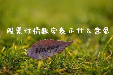 股票行情数字表示什么意思_https://wap.sdyuehang.cn_债券资讯_第1张
