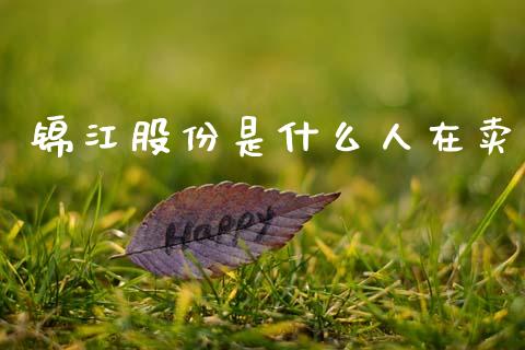 锦江股份是什么人在卖_https://wap.sdyuehang.cn_债券资讯_第1张