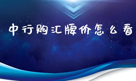中行购汇牌价怎么看_https://wap.sdyuehang.cn_产经新闻_第1张