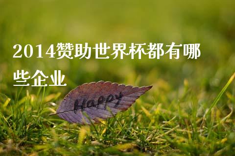 2014赞助世界杯都有哪些企业_https://wap.sdyuehang.cn_新股申购_第1张