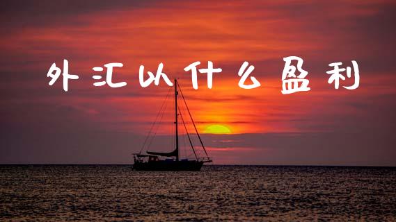 外汇以什么盈利_https://wap.sdyuehang.cn_新股申购_第1张