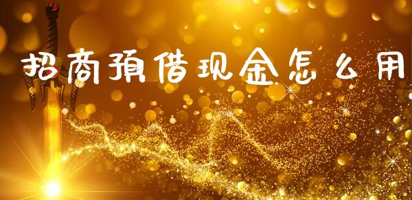 招商预借现金怎么用_https://wap.sdyuehang.cn_债券资讯_第1张