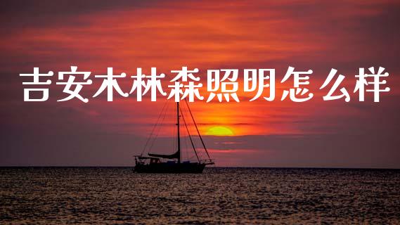 吉安木林森照明怎么样_https://wap.sdyuehang.cn_产经新闻_第1张