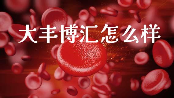 大丰博汇怎么样_https://wap.sdyuehang.cn_债券资讯_第1张