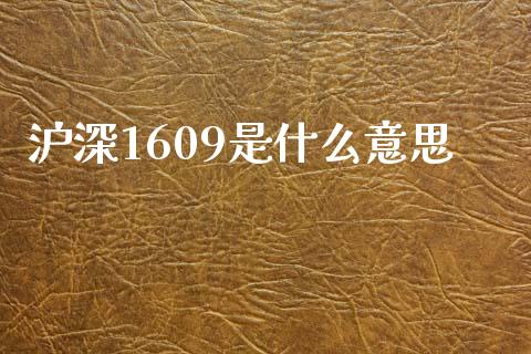 沪深1609是什么意思_https://wap.sdyuehang.cn_产经新闻_第1张