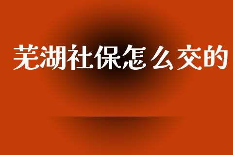 芜湖社保怎么交的_https://wap.sdyuehang.cn_产经新闻_第1张