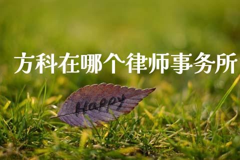 方科在哪个律师事务所_https://wap.sdyuehang.cn_新股申购_第1张