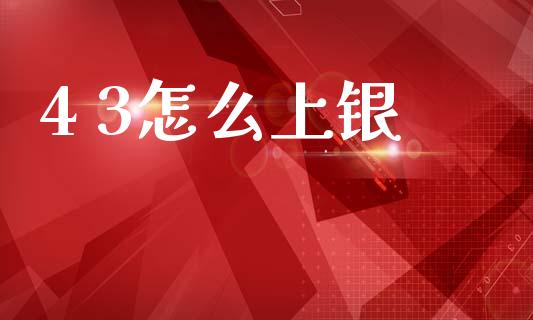 4 3怎么上银_https://wap.sdyuehang.cn_美股行情_第1张