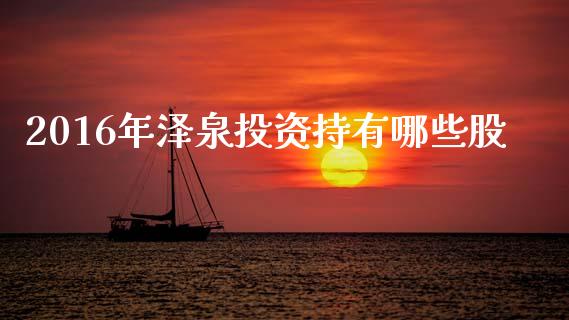 2016年泽泉投资持有哪些股_https://wap.sdyuehang.cn_新股申购_第1张