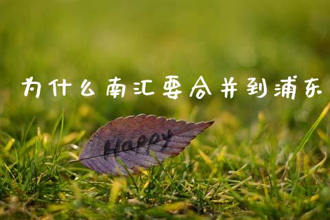 为什么南汇要合并到浦东_https://wap.sdyuehang.cn_美股行情_第1张