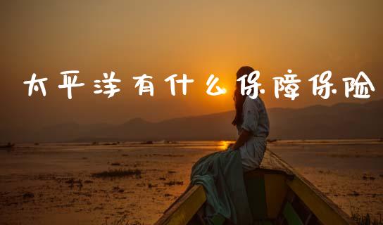 太平洋有什么保障保险_https://wap.sdyuehang.cn_产经新闻_第1张