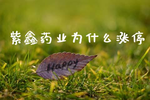 紫鑫药业为什么涨停_https://wap.sdyuehang.cn_新股申购_第1张