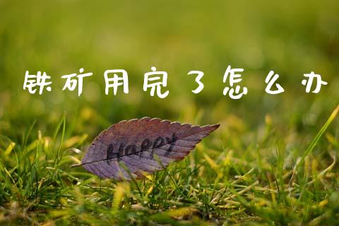 铁矿用完了怎么办_https://wap.sdyuehang.cn_美股行情_第1张