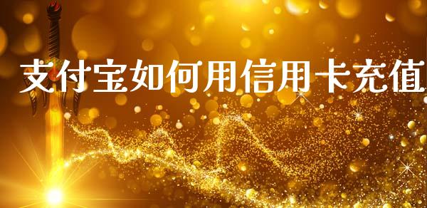 支付宝如何用信用卡充值_https://wap.sdyuehang.cn_债券资讯_第1张