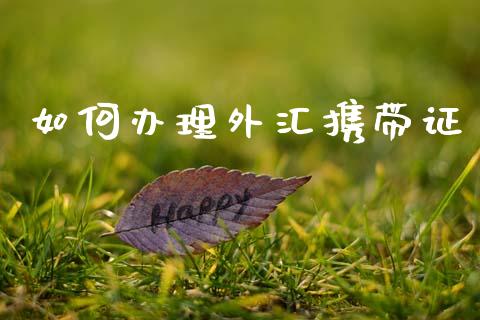 如何办理外汇携带证_https://wap.sdyuehang.cn_美股行情_第1张