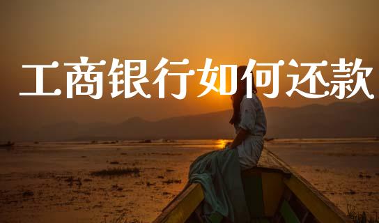 工商银行如何还款_https://wap.sdyuehang.cn_债券资讯_第1张